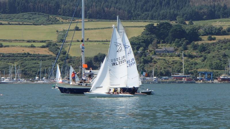 North Louth: Moneley Oyster Pearl Regatta held in Carlingford