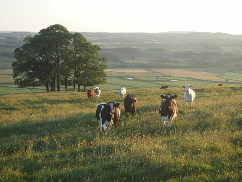 Farmers across Ireland move from the field to the front line of sustainable dairy