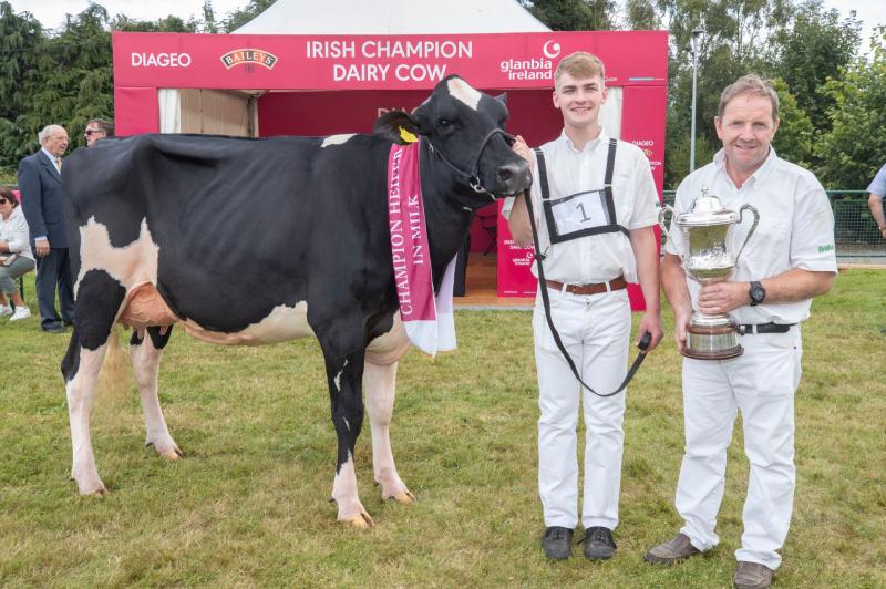 Louth farmers win Diageo Baileys Champion Heifer in Milk & Best EBI Award at Virginia Show