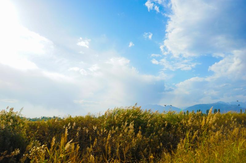Louth Weather: Dry day with sunny spells