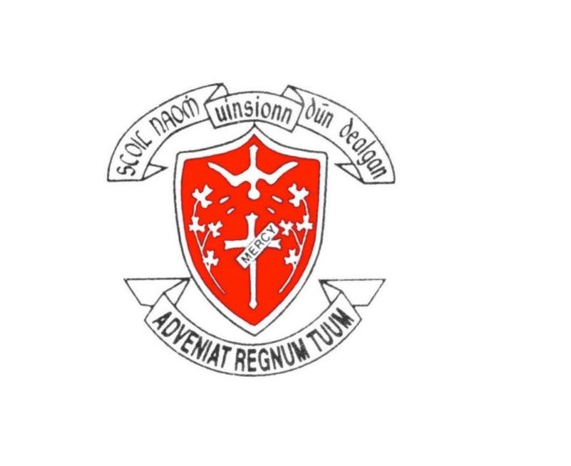 St Vincent's Secondary School top feeder school in Dundalk