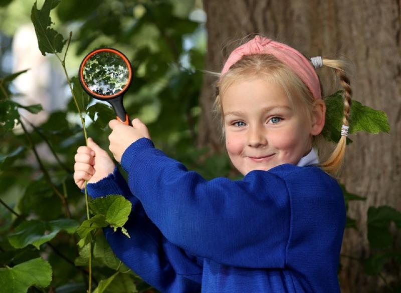 Primary Schools in Louth are asked to ‘Root for Nature’ and plant a tree 