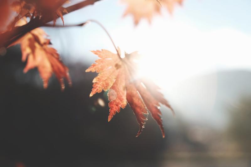 WEEKEND WEATHER: Mainly dry and settled for the weekend turning chilly at times