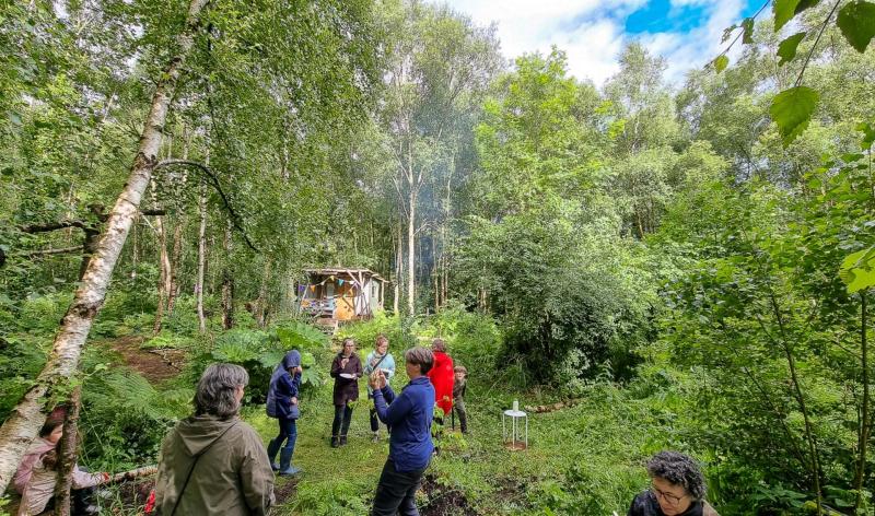 Bog Cafe festival begins today in Ardee