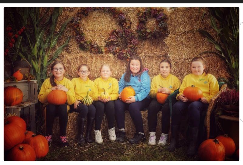 Knockbridge Brownies visit Corderry Fruit Farm pumpkin patch