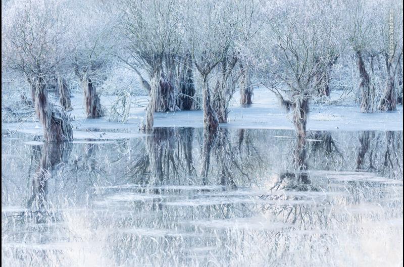 Status Orange warning issued for Louth as temperatures could plunge to -11C tonight