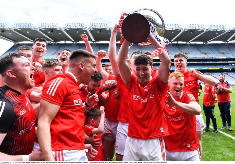 Louth GAA Year in Review: Mixed season ends on a high note for county hurlers