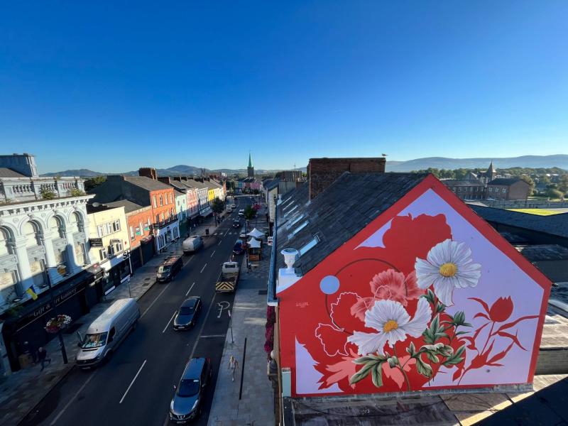 Dundalk mural shortlisted in worldwide best street art competition 