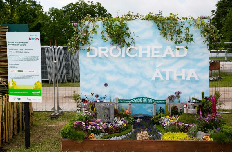 Green-fingered Louth community groups wanted for Bord Bia Bloom