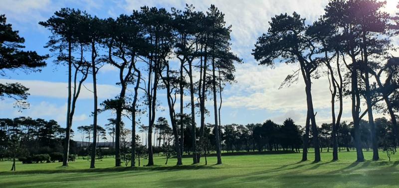 The latest results from Greenore Golf Club