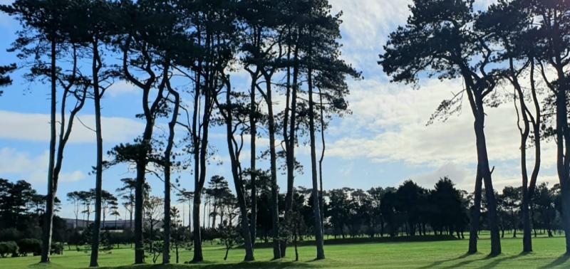 Greenore Ladies Golf Results