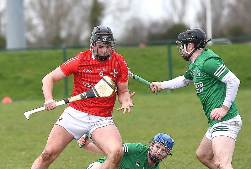 Louth hurlers close to safety following valuable victory over Fermanagh