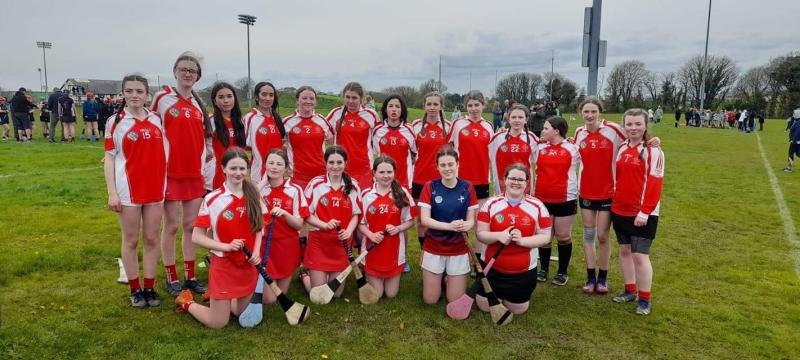 Darver plays host to five teams for the Louth Camogie Feile 