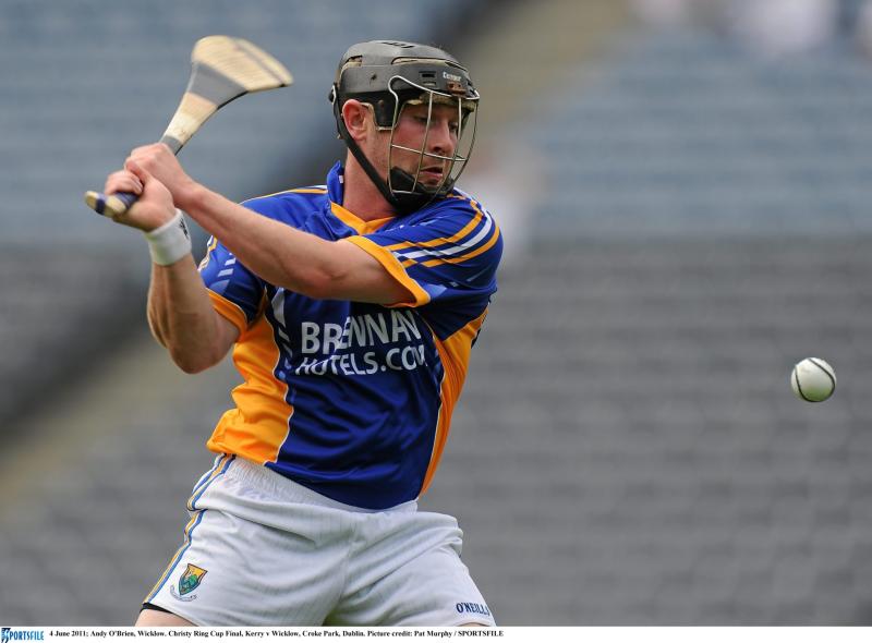High class Wicklow put Louth Hurlers to the sword 
