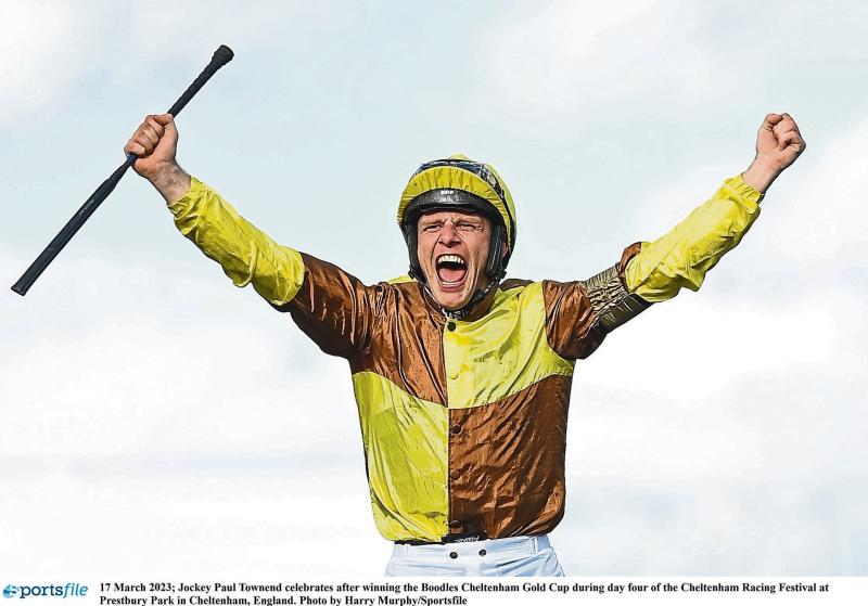  Hard to oppose Willie in Gold Cup