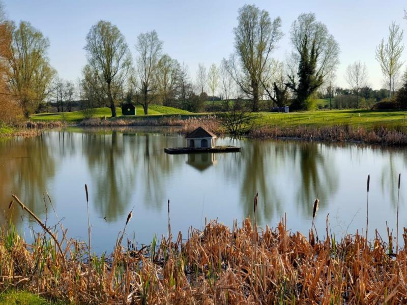 The latest results from Ardee Golf Club