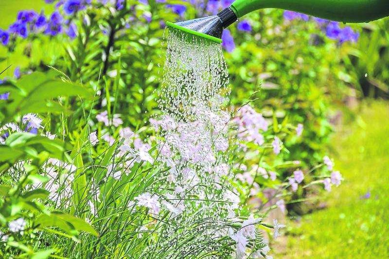 GUIDE: Tips to keep your home safe when gardening