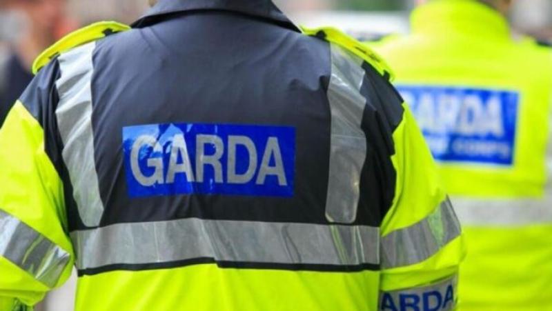 Garda&iacute; issue update on missing Louth teen