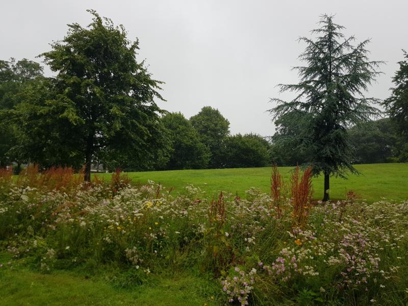 Ice House Hill in Dundalk in bloom ahead of 2023 An Taisce Green Flag awards