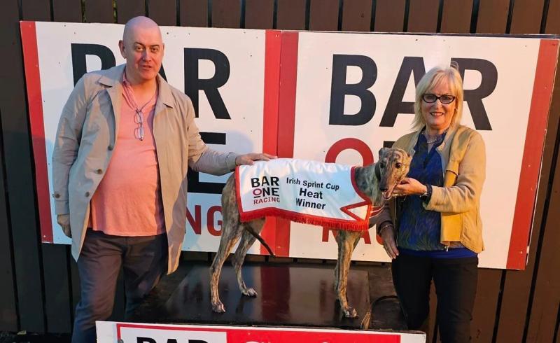 Irish Sprint Cup Final Preview: Rathdown Molly can do it for the girls