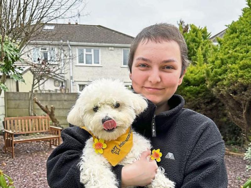Limerick pup who helped owner through chemotherapy crowned Nose of Tralee