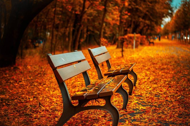 Why October can feel tough and how to protect your mental health this Autumn