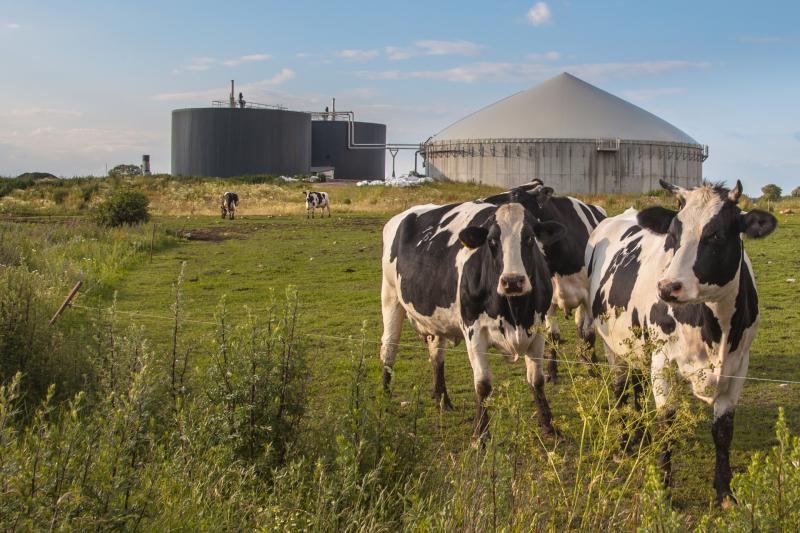 Gas Networks Ireland report highlight's Louth 's potential for a biomethane industry