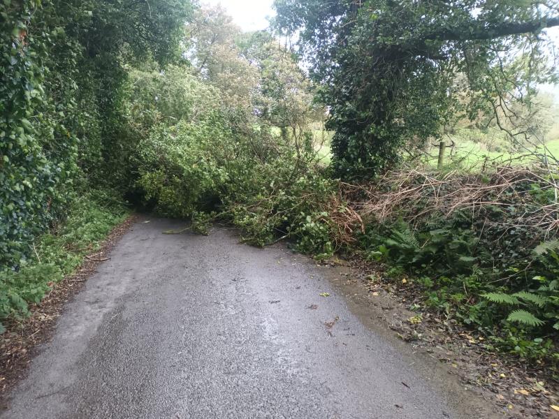 Louth County Council teams remove fallen trees in the wake of  Storm Agnes