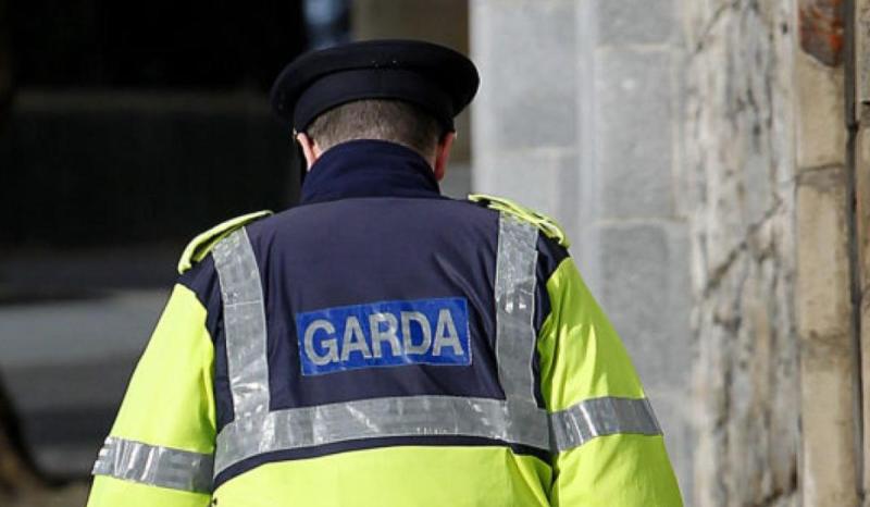 Two men arrested following Dublin supermarket robbery