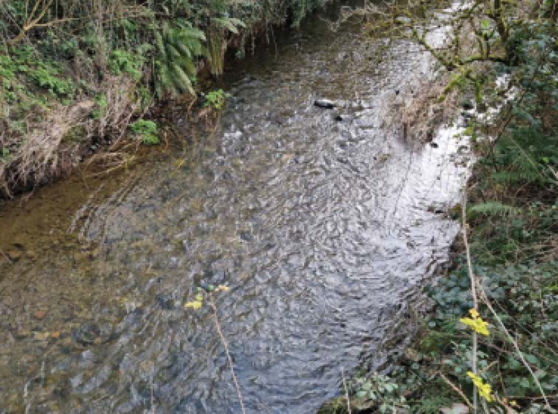 EPA report details delays to Dunleer treatment plant upgrade which resulted in Uisce Eireann fine