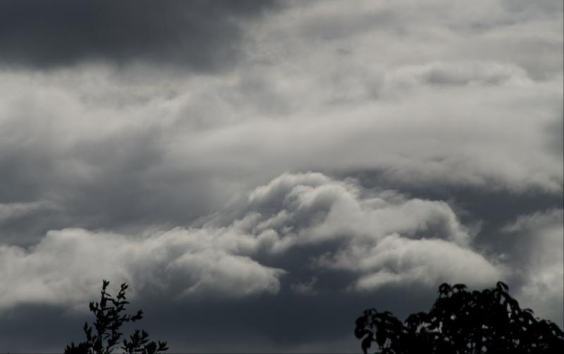 Louth Weather: Remaining dull and damp with overcast conditions