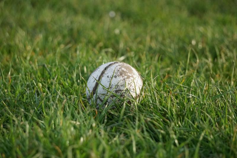 Popular Louth GAA club has appointed a very big name as coach for next season 