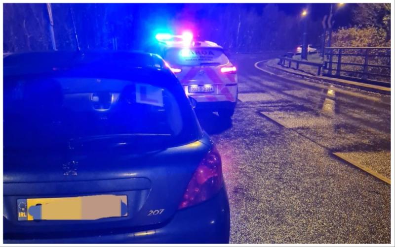 Louth Gardaí seize car of learner driving on hard shoulder of M1