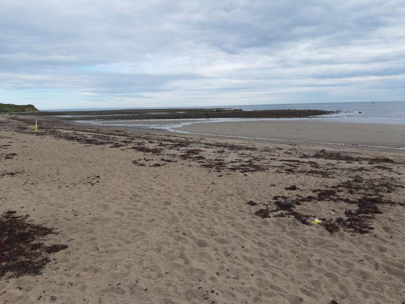 Dive into a #2MinuteBeachClean in Louth this Winter 