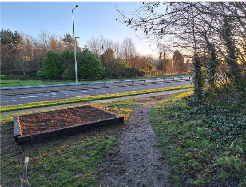 Dundalk Tidy Towns seek sponsors for pollinator beds 