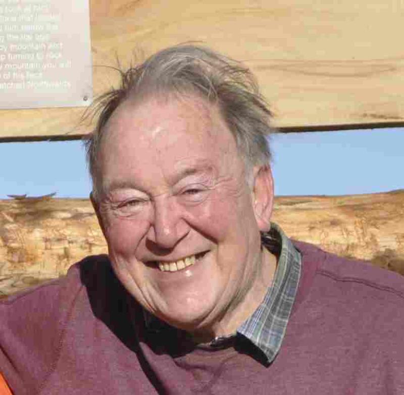 Carlingford leprechauns get their own animated series