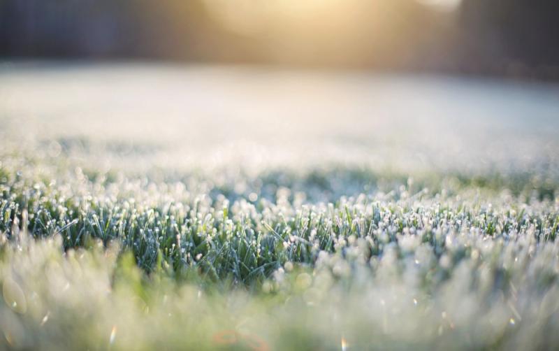 WEATHER: Frosty start for most across the country with air temperatures of -3 to +2°C