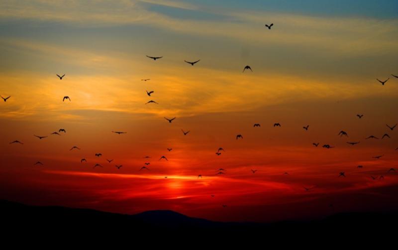 Longer days ahead as sunset stretches to 5:45pm in places