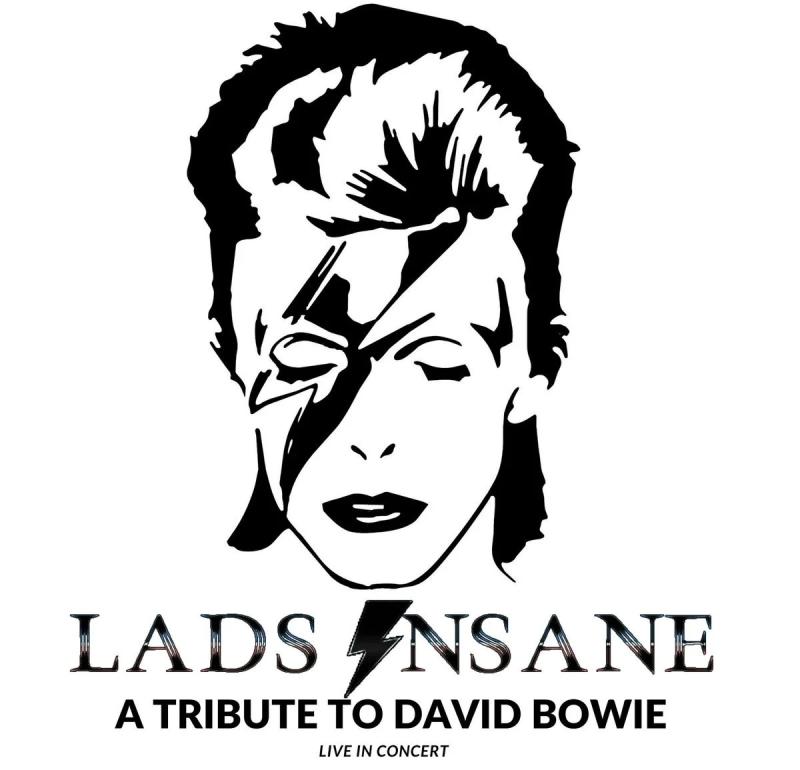 David Bowie tribute band plays in Dundalk's Toales tonight