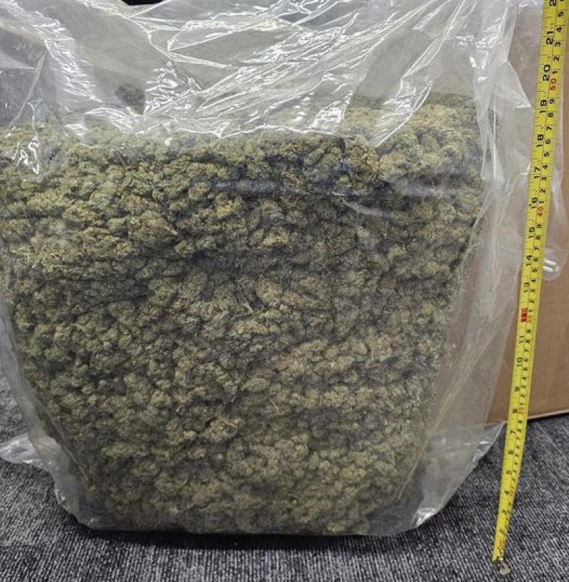 Gardai from Louth Cavan Monaghan Crime Hub seize €195k worth of cannabis