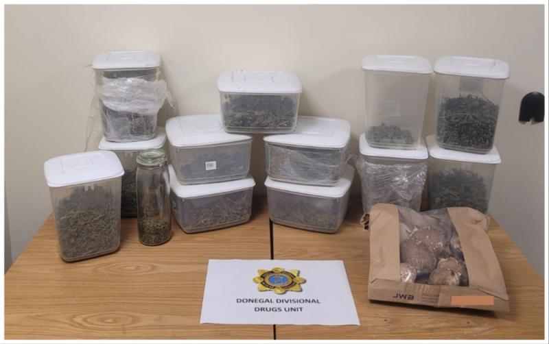 Two men arrested as gardaí seize over €125k worth of cannabis and magic mushrooms