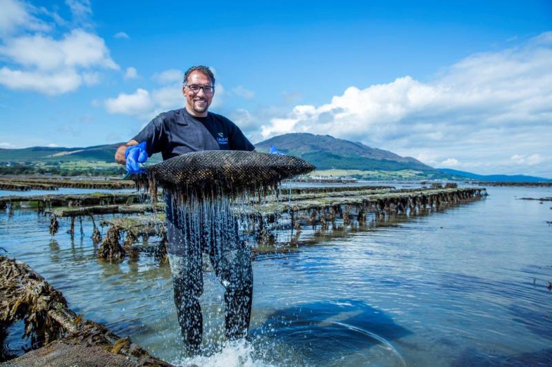 Dundalk and north Louth producers win Great Taste Awards