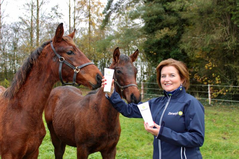 Free Inspiring Women Entrepreneurs networking event in Dundalk