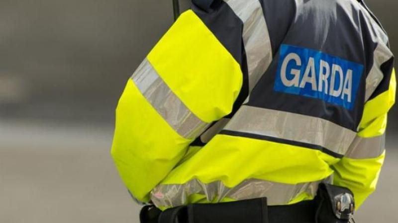 Gardaí arrest two and seize sub-machine gun with ammunition in Dublin raid