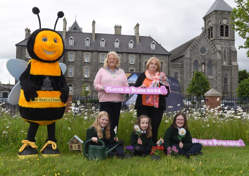 'Louth in Bloom 2024' competition launched