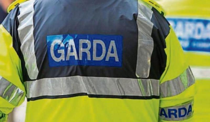 Garda&iacute; appeal for witnesses as man, 30s, dies after crash in Clare
