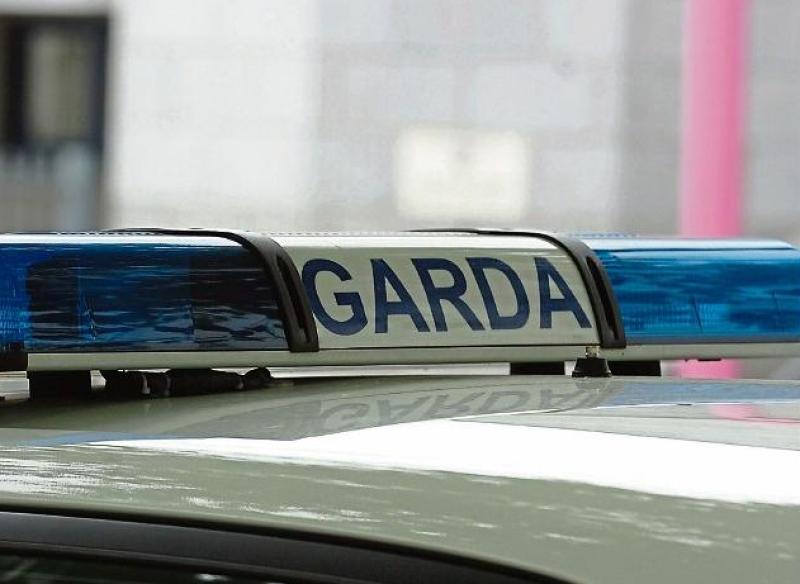 Cork: Witness appeal after woman allegedly assaulted on forest trail