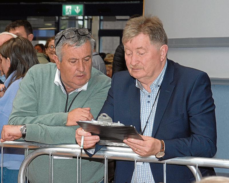 Louth Local Elections: All Ardee councillors retain their seats 