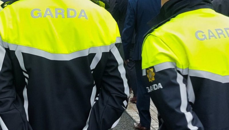Teen arrested by Gardaí investigating violent gay hate crime at Phoenix Park