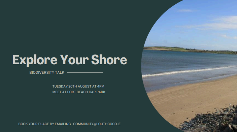 Louth biodiversity: Explore Your Shore talk